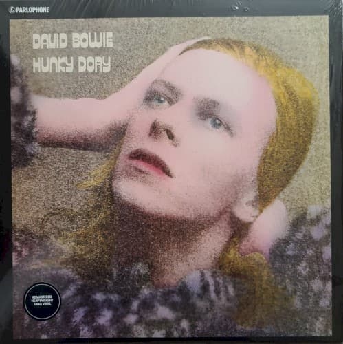 BOWIE,DAVID - HUNKY DORY (OGV)
