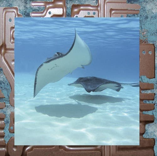 FERRARO, JAMES - REREX