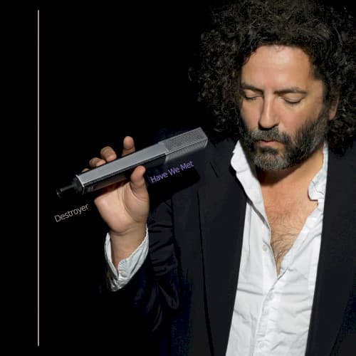 DESTROYER - HAVE WE MET (BLK) (DLCD)