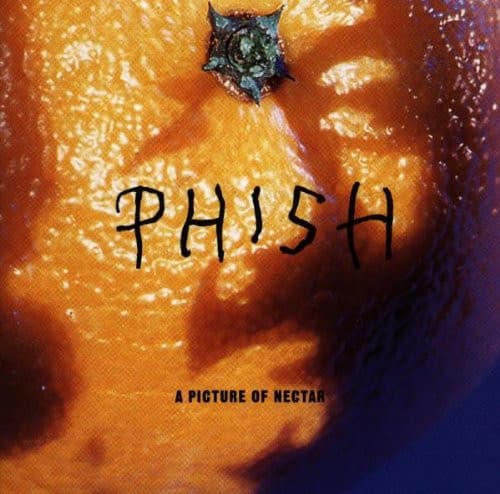 PHISH - A PICTURE OF NECTAR (GRAPE APPLE PIE)