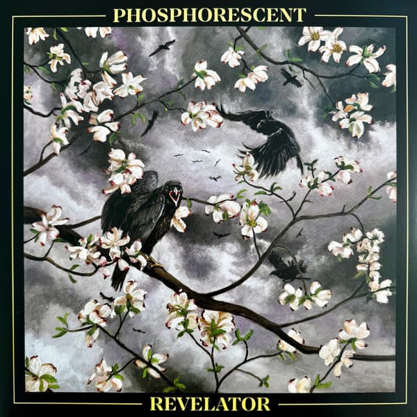 PHOSPHORESCENT - REVELATOR (BLACK ICE)