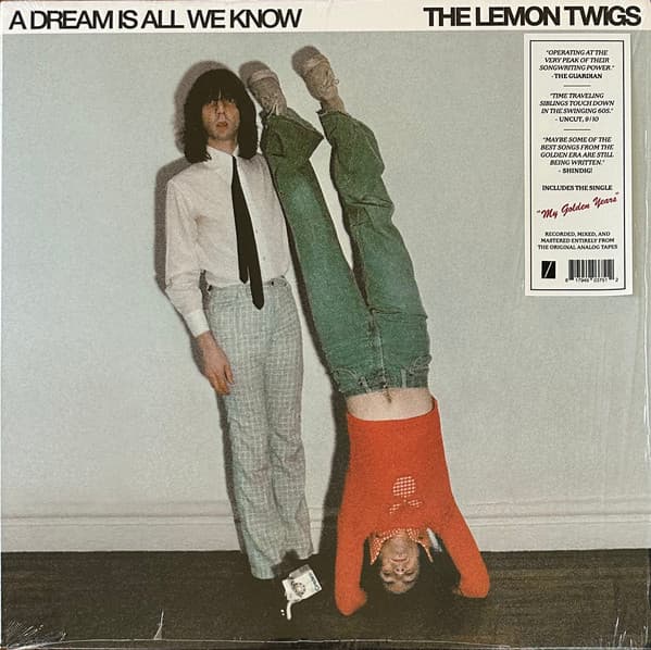 LEMON TWIGS, THE - A DREAM IS ALL WE KNOW