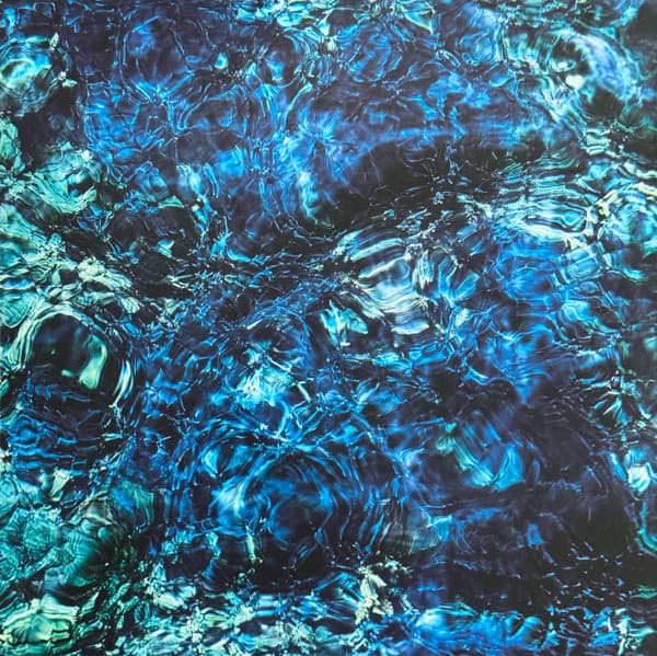 AOBA,ICHIKO - LUMINESCENT CREATURES