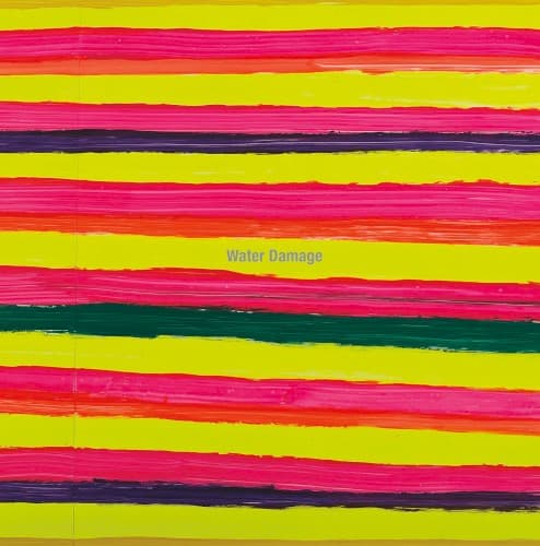 WATER DAMAGE - REPEATER