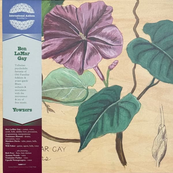 GAY, BEN LAMAR - YOWZERS (COLOR)