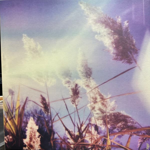 BENOIT PIOULARD - STANZA IV