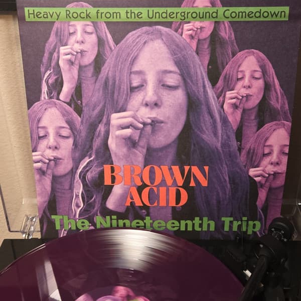 BROWN ACID - THE NINETEENTH TRIP / VARIOUS - BROWN ACID - THE NINETEENTH TRIP / VARIOUS