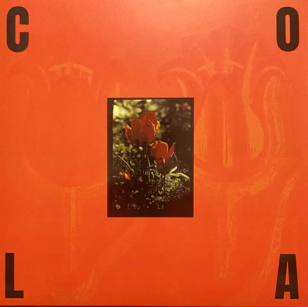 COLA - THE GLOSS (OLIVE)
