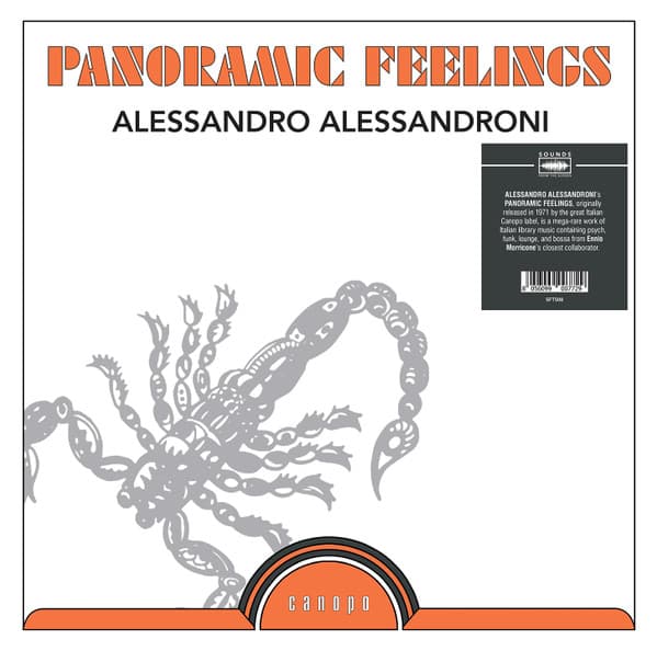 ALESSANDRONI,ALESSANDRO - PANORAMIC FEELINGS