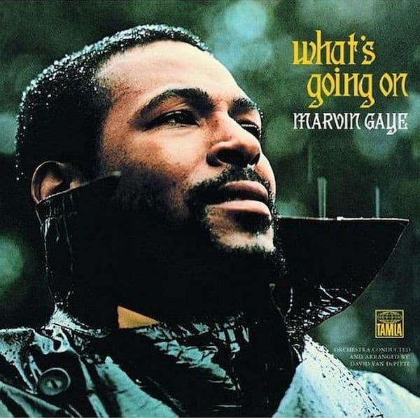 EDMONDS, BEN - MARVIN GAYE: WHAT'S GOING ON?