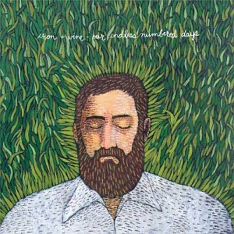 IRON & WINE - OUR ENDLESS NUMBERED DAYS