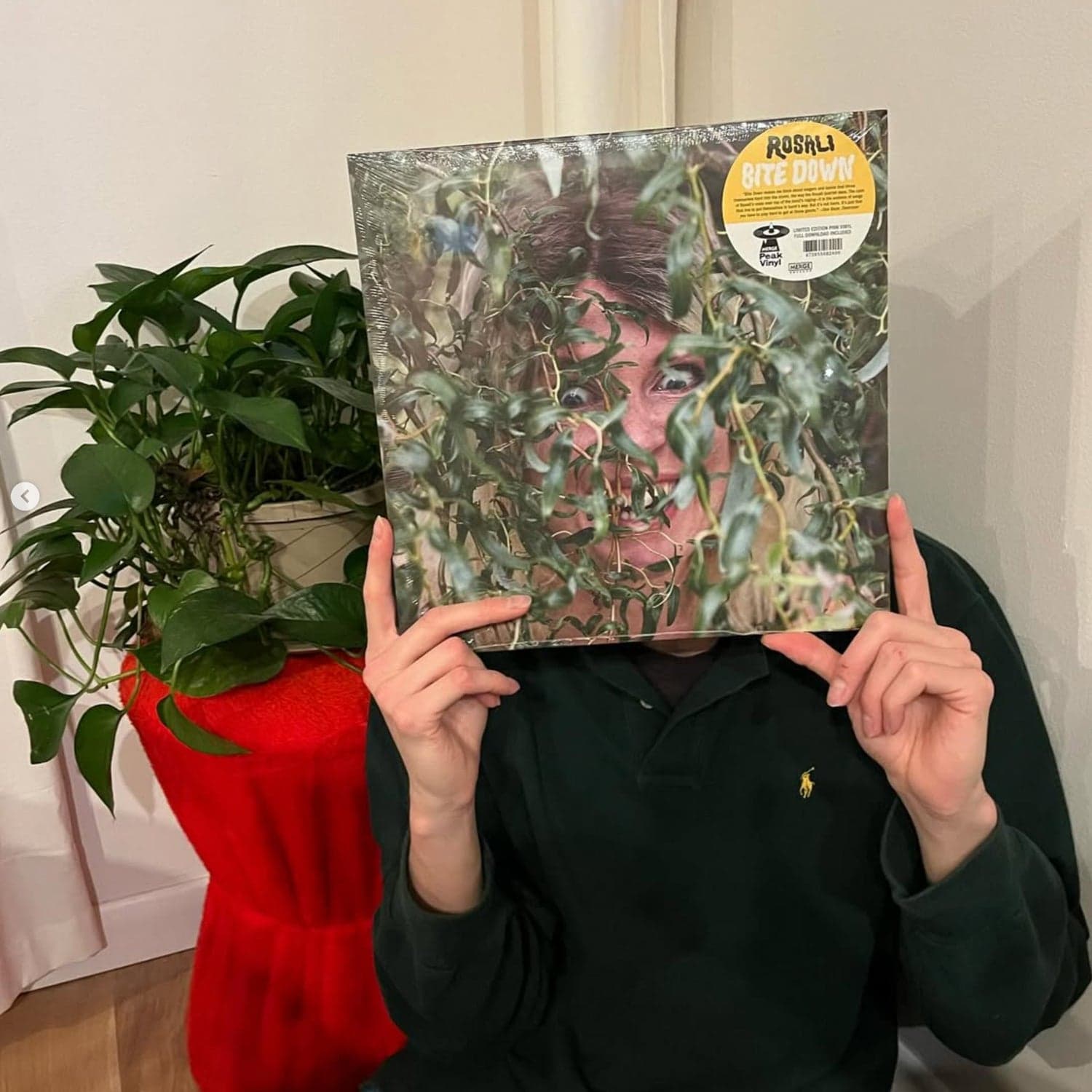 Ryan from Harvest Records