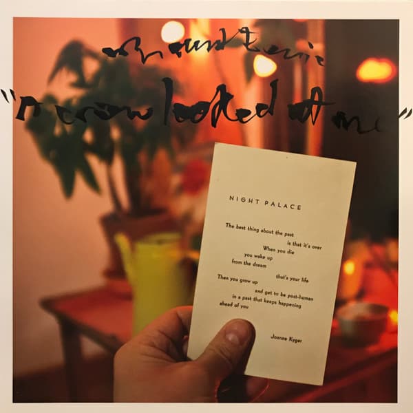 MOUNT EERIE - A CROW LOOKED AT ME