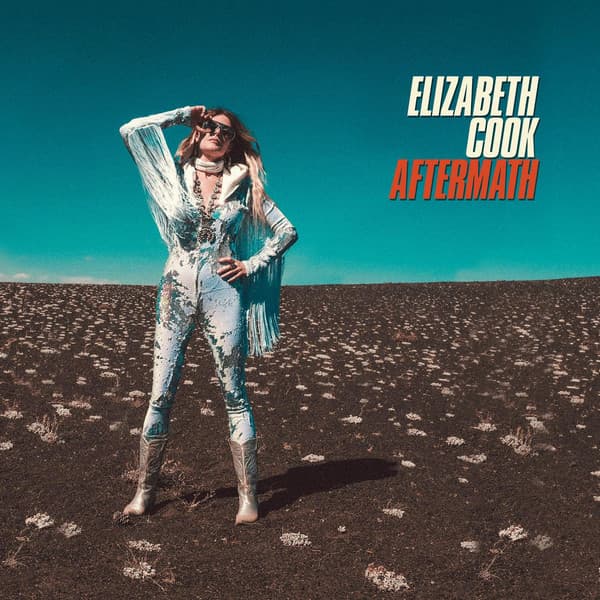 COOK,ELIZABETH - AFTERMATH