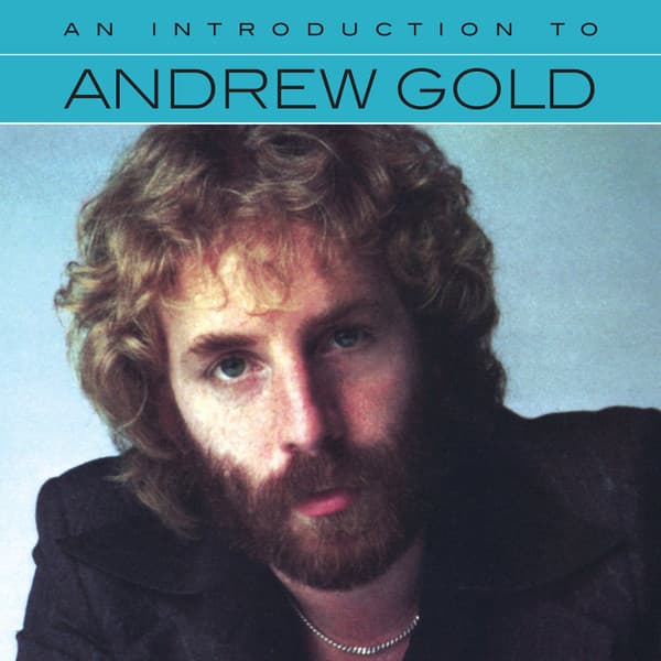 GOLD,ANDREW - AN INTRODUCTION TO
