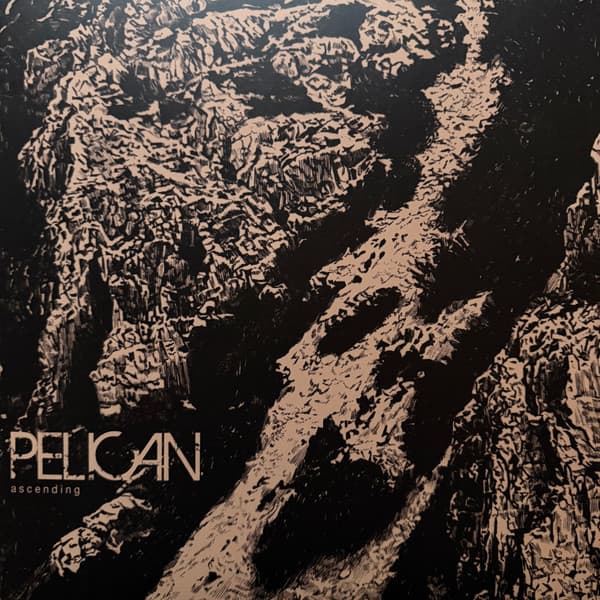 PELICAN - ASCENDING