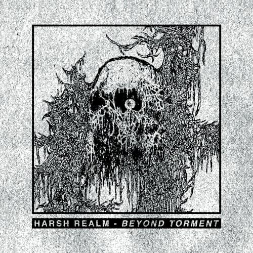 HARSH REALM - BEYOND TORMENT
