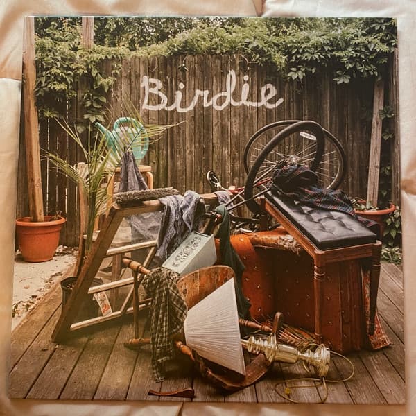 SLAUGHTER BEACH, DOG - BIRDIE (OLIVE GREEN)