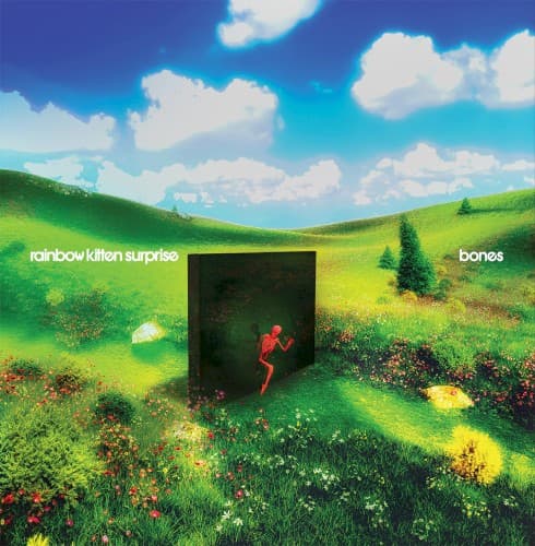 RAINBOW KITTEN SURPRISE - BONES