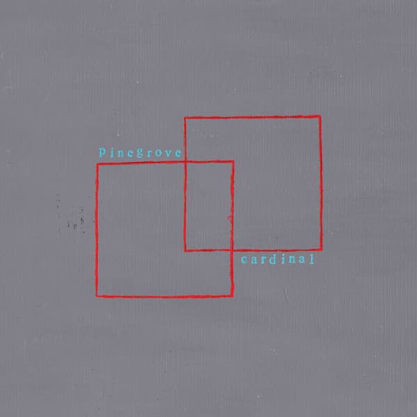 PINEGROVE - CARDINAL (COLV) (DLCD)