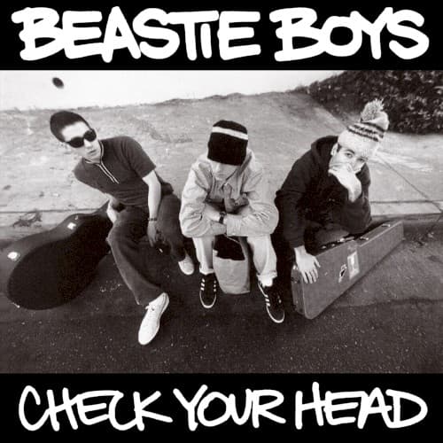 BEASTIE BOYS - CHECK YOUR HEAD