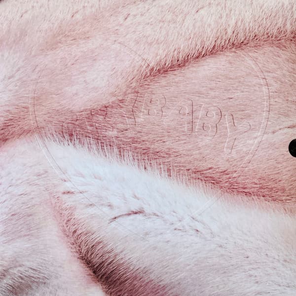 MARTINEZ, MELANIE - CRY BABY (PINK) (10TH ANIV)