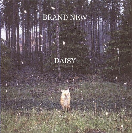 BRAND NEW - DAISY (DLI) (OGV)
