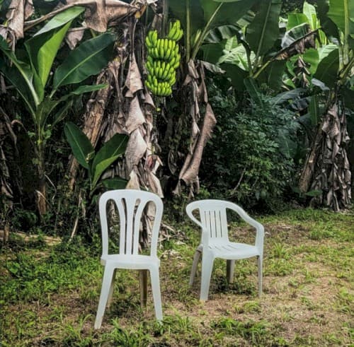 BAD BUNNY - DEBI TIRAR MAS FOTOS (WHITE)