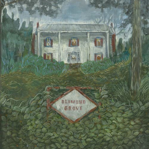 WEIRS - DIAMOND GROVE