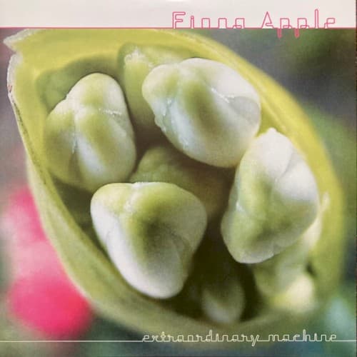 APPLE, FIONA - EXTRAORDINARY MACHINE