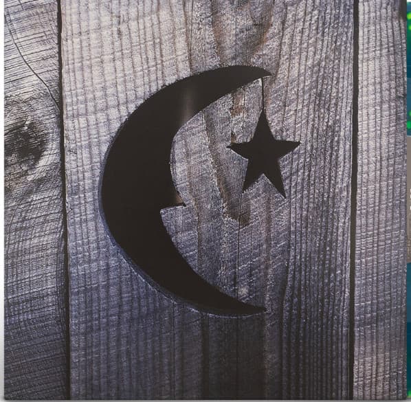 PHISH - FARMHOUSE (STARS SO BRIGHT)