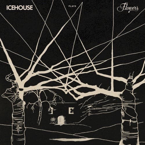 ICEHOUSE - FLOWERS