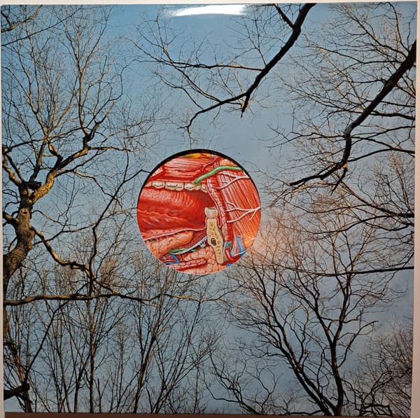 THEY MIGHT BE GIANTS - GLEAN (CVNL) (RED)