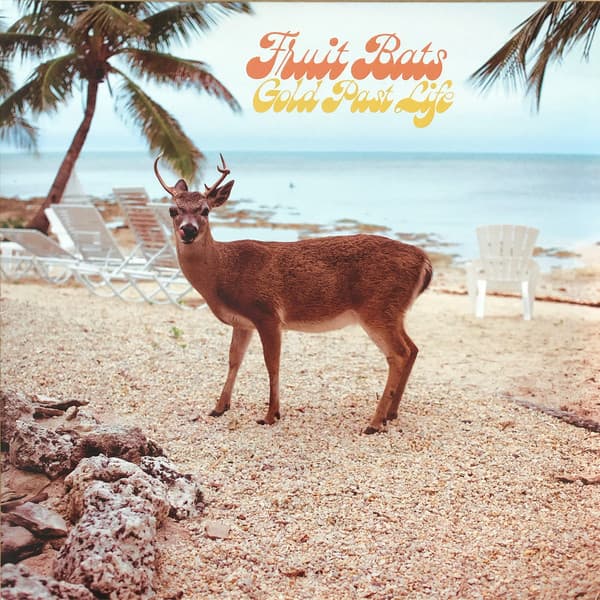 FRUIT BATS - GOLD PAST LIFE (BLK) (DLCD)