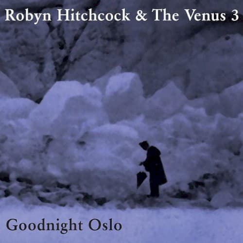 HITCHCOCK,ROBYN - GOODNIGHT OSLO (DIG)