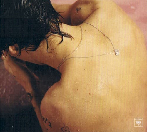 STYLES,HARRY - HARRY STYLES (DIG)