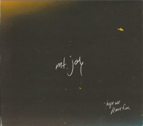 MT. JOY - HOPE WE HAVE FUN