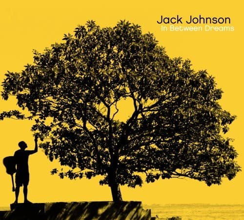 JOHNSON,JACK - IN BETWEEN DREAMS