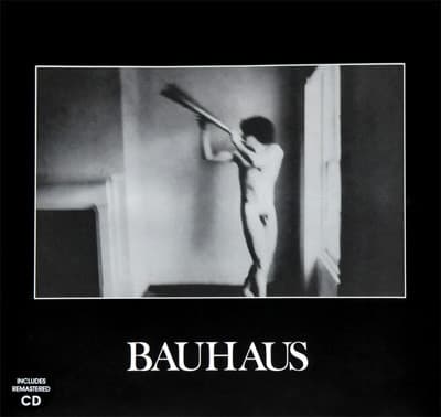 BAUHAUS - IN THE FLAT FIELD (RMST)