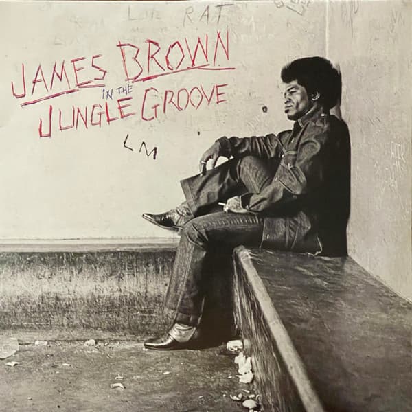 BROWN,JAMES - IN THE JUNGLE GROOVE