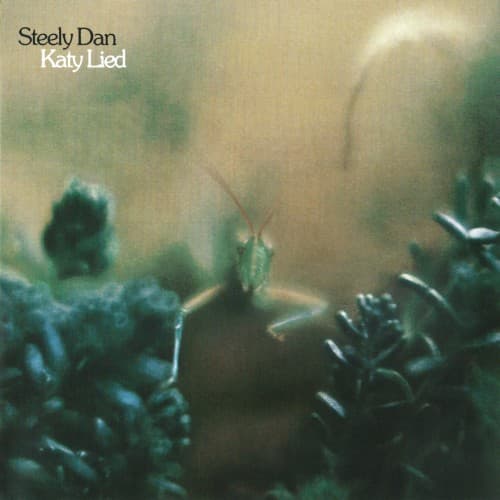 STEELY DAN - KATY LIED (RMST)