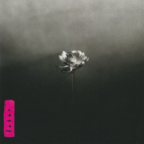 LITTLE SIMZ - LOTUS