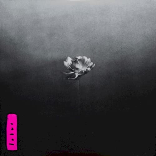 LITTLE SIMZ - LOTUS