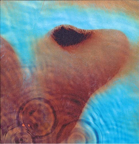 PINK FLOYD - MEDDLE (GATE) (OGV)
