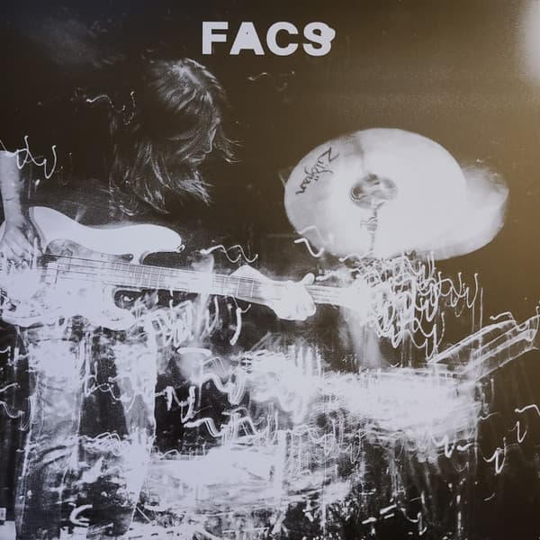 FACS - NORTH AMERICAN ENDLESS