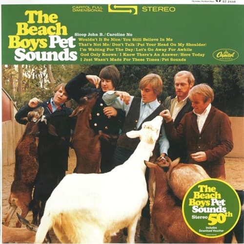 BEACH BOYS - PET SOUNDS (STEREO) (OGV)