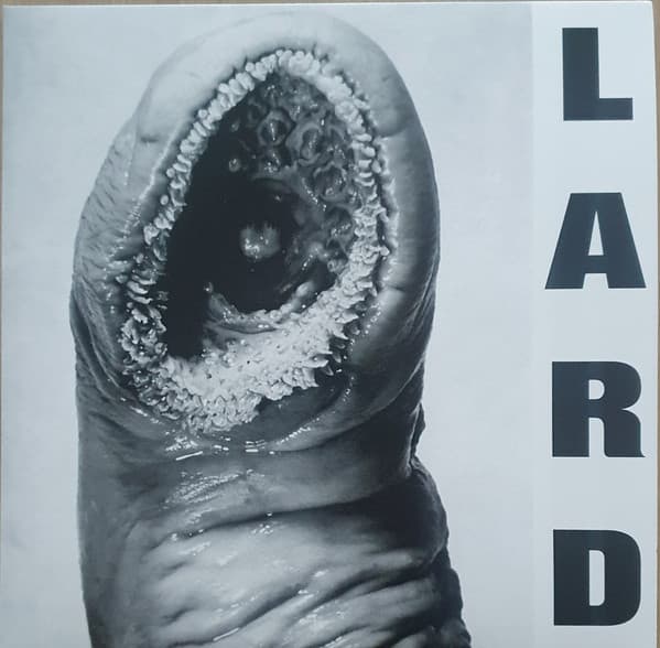 LARD - POWER OF LARD - WHITE (COLV) (WHT)
