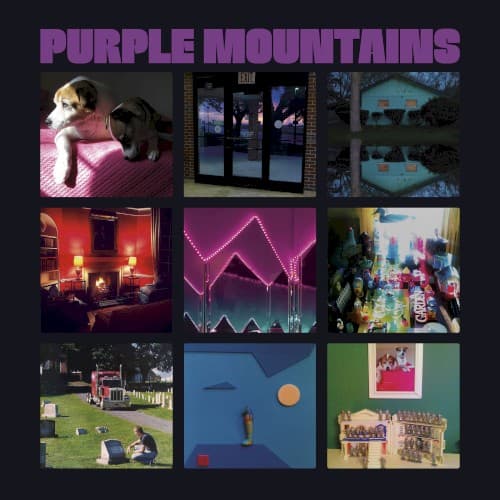 PURPLE MOUNTAINS - PURPLE MOUNTAINS (DIG)