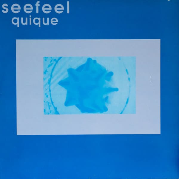 SEEFEEL - QUIQUE