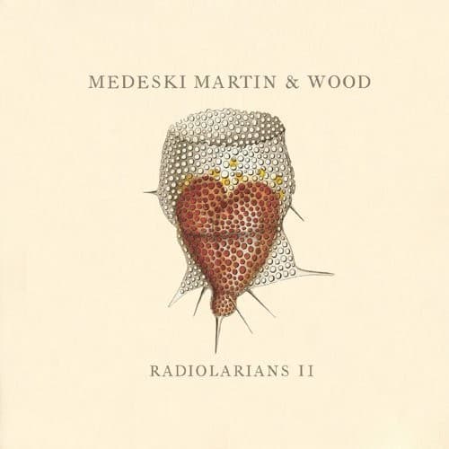 MEDESKI MARTIN & WOOD - RADIOLARIANS 2 (DIG)